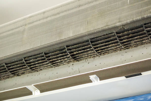 Best Home Air Vent Cleaning  in Texarkana, TX